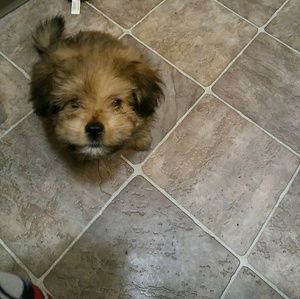 Meet your Posher, Katrina